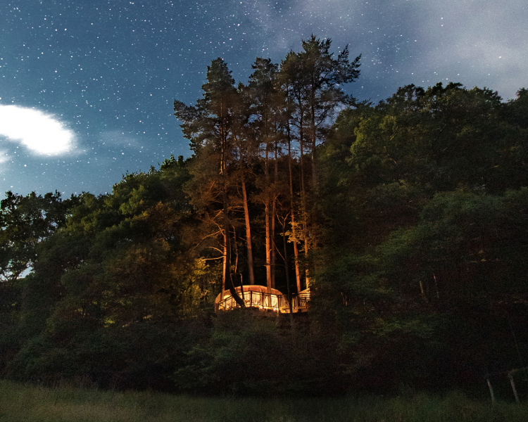 a treehouse in the woods in wales glowing bright at night