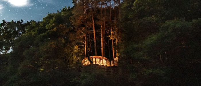 a treehouse in the woods in wales glowing bright at night