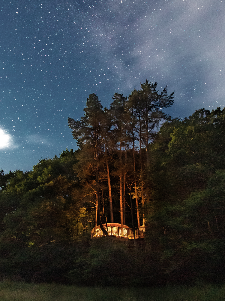 a treehouse in the woods in wales glowing bright at night