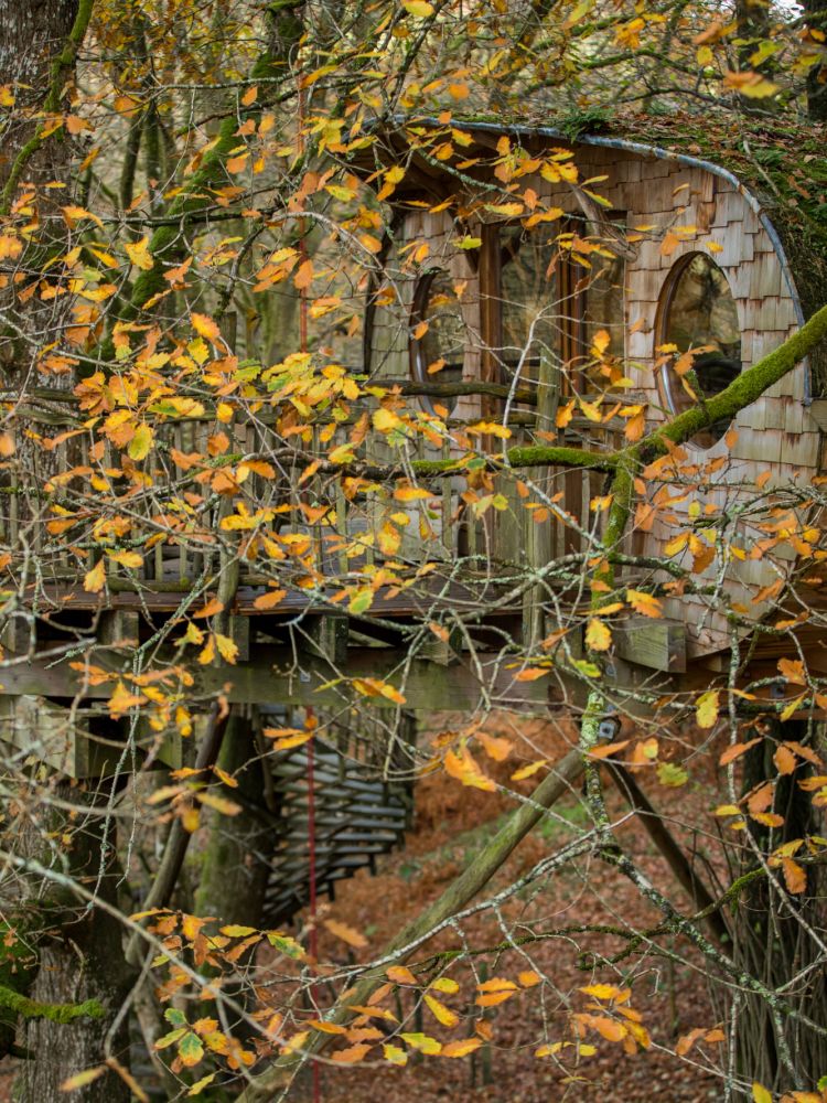 a treehouse in the woods in wales seen in autumn