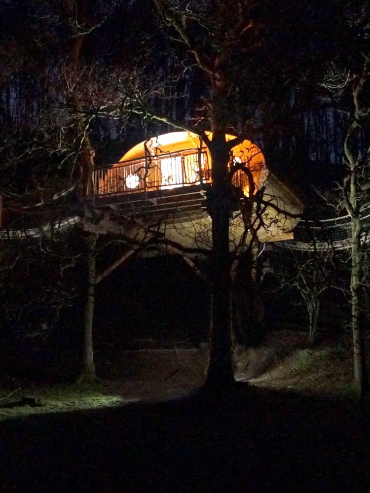 a treehouse in the woods in wales at night time