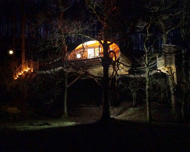 a treehouse in the woods in wales at night time