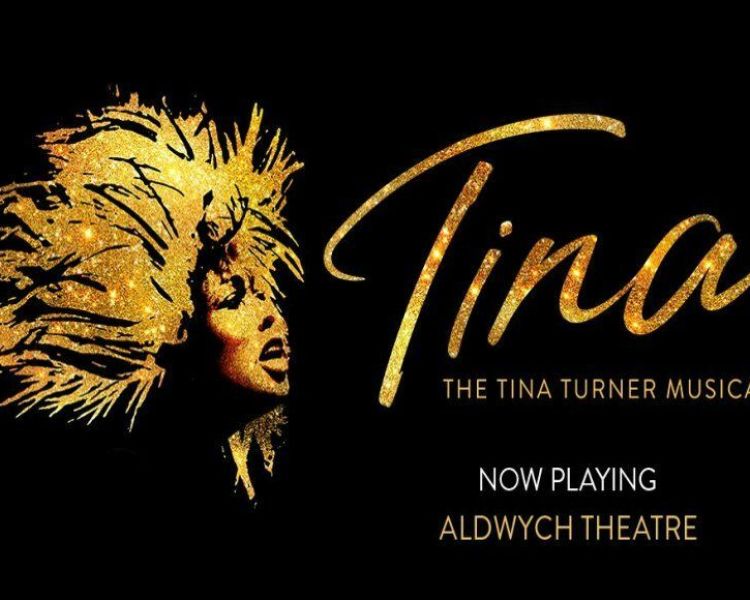 Tina theatre banner