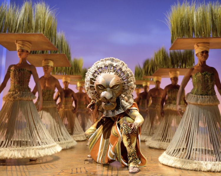Grasslands The Lion King