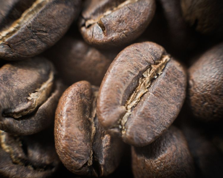 roasted coffee beans seen on a how to roast coffee beans workshop