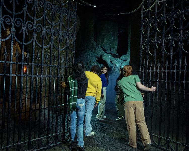 Entering the forbidden forest at warner bros studio tour london