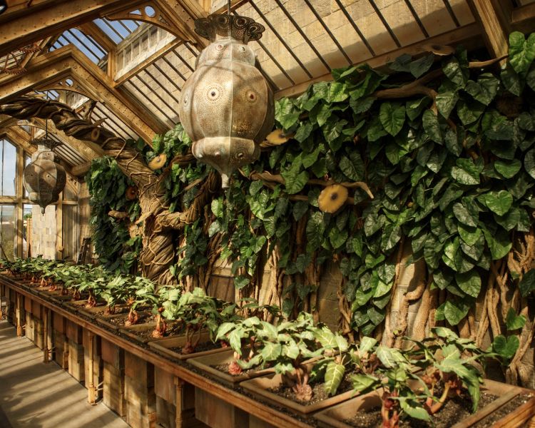 Professor sprouts greenhouse at warner bros studio tour london