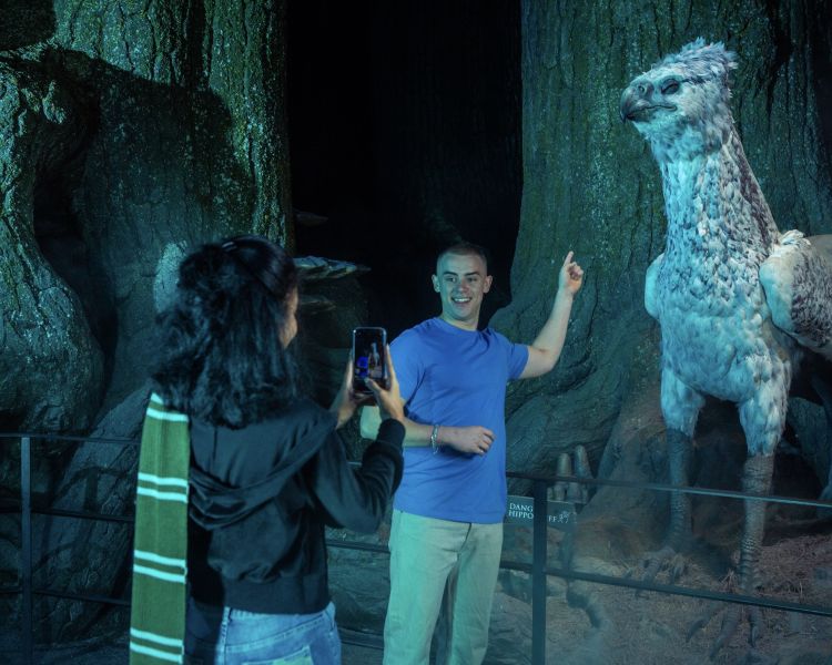Walking around the forbidden forest at warner bros studio tour london