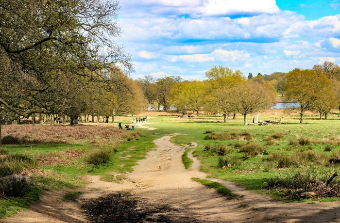Richmond park london