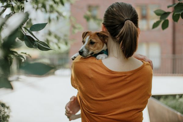 woman wearing brown t-shirt holding small dog