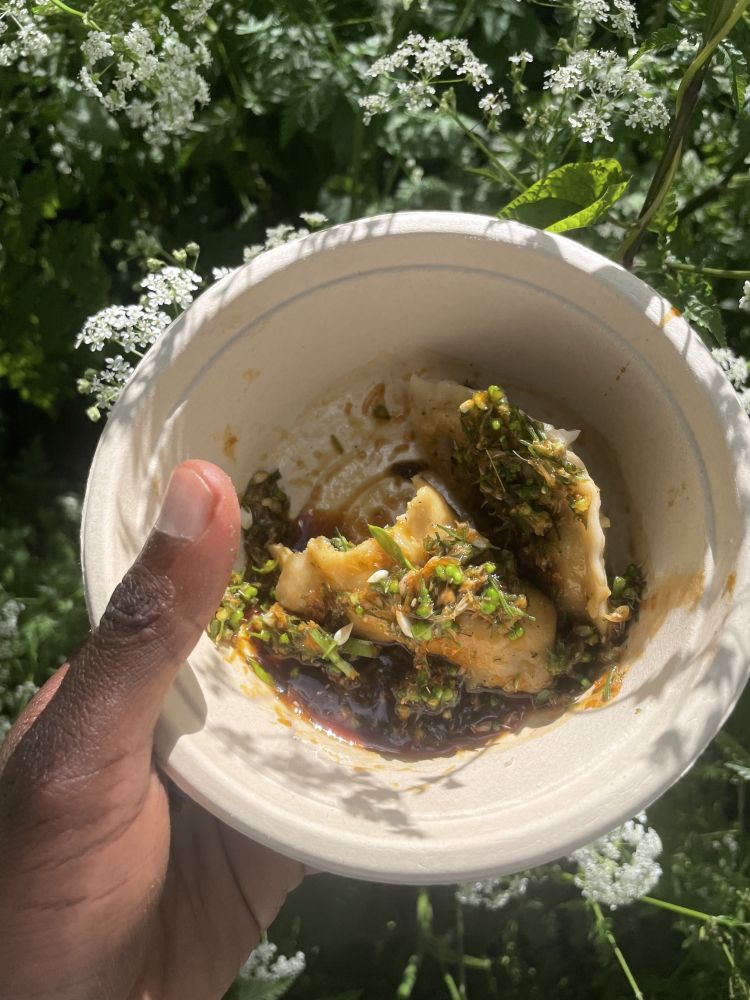 Bowl of chinese style dumplings made using foraged herbs