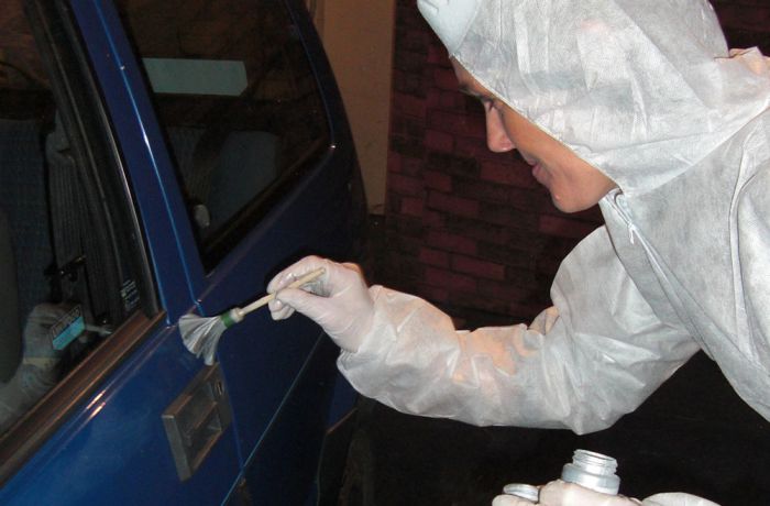 person finger print dusting on a car door as part of a crime scene investigation experience day