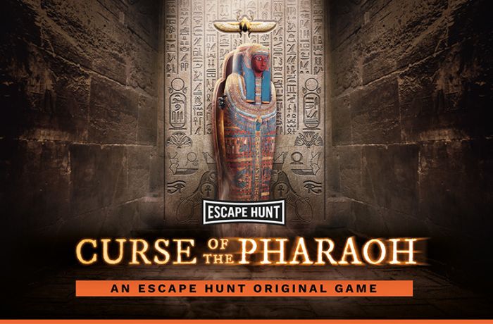 Curse of the pharaoh escape hunt experience