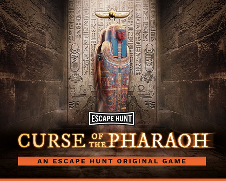 Curse of the pharaoh escape hunt experience