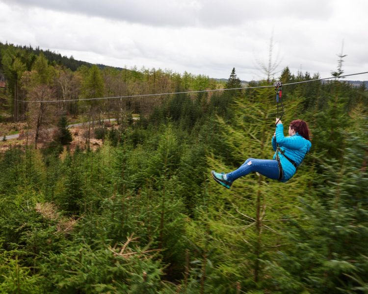 woman zip lining above the trees on a zip trekking adventure at go ape