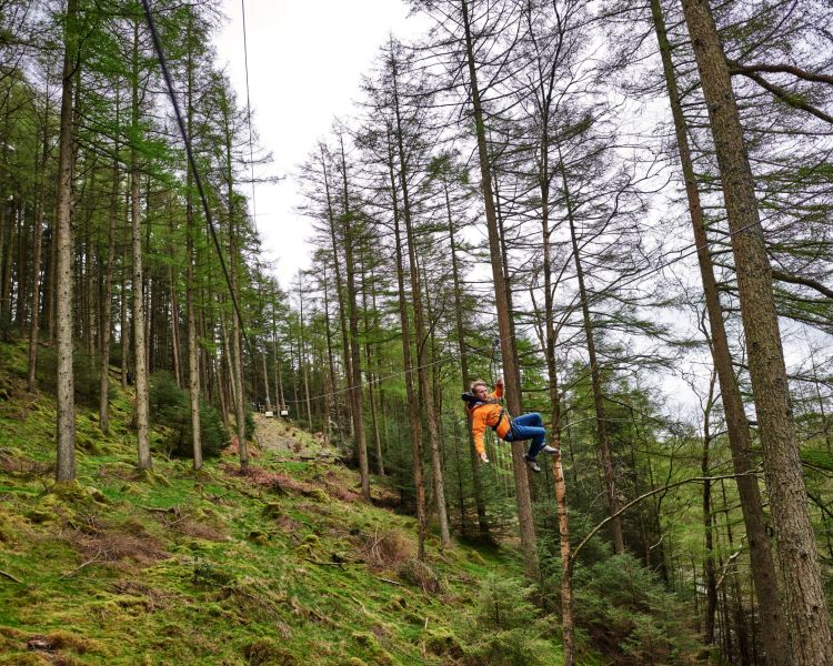 person zip lining through trees at go ape zip trekking