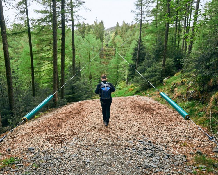 person looking out at zip lines on go ape zip trekking adventure