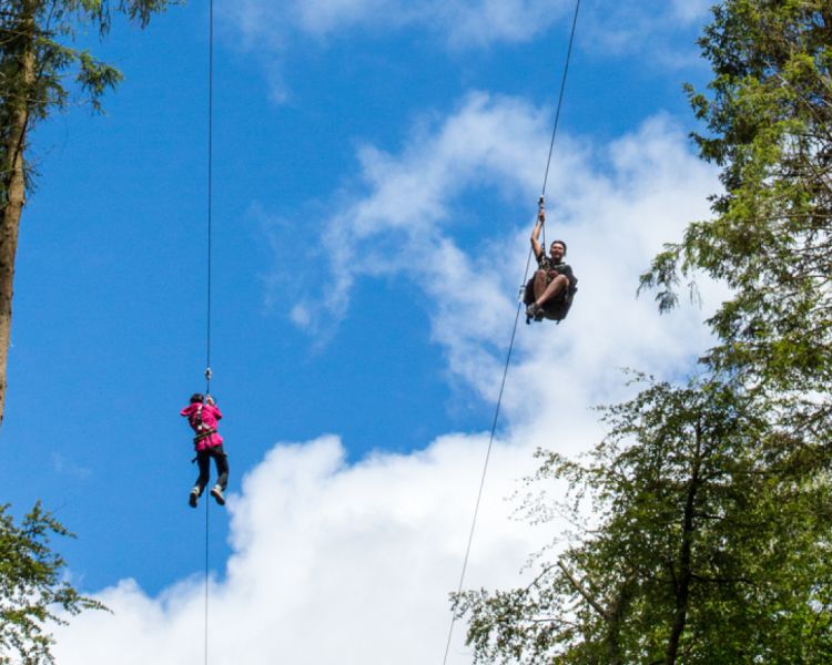view looking up at two people on zip trekking adventure at go ape