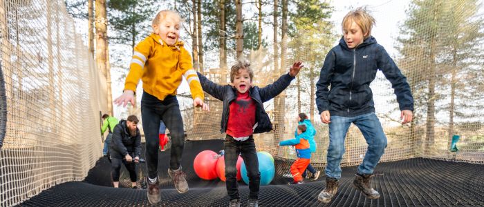kids bouncing on nets adventure at go ape