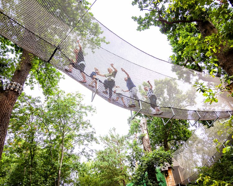 people walking along net bridge at go ape nets adventure