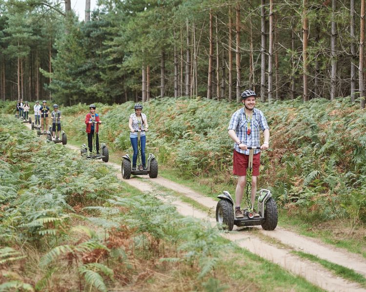 group going through forest on go ape segway experience