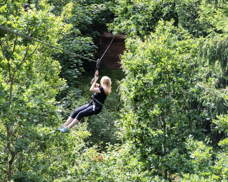 woman on zip wire on go ape treetop challenge course