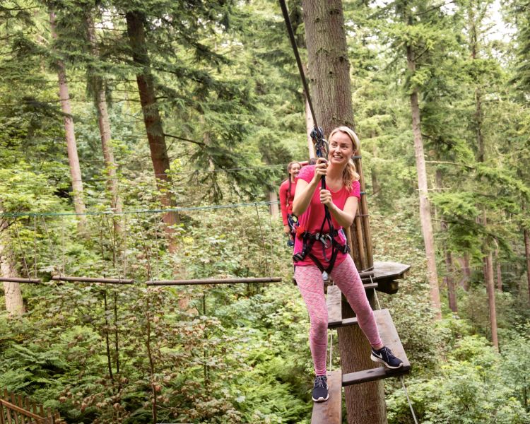 woman on bridge on treetop challenge course at go ape