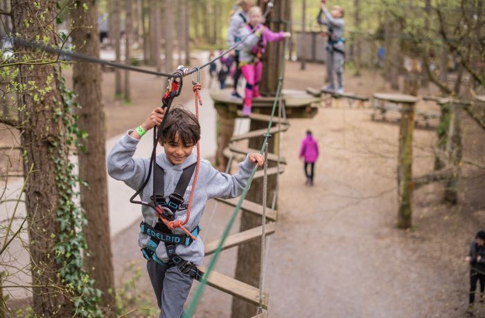 kids on the treetop adventure course at go ape