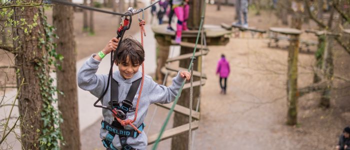 kids on the treetop adventure course at go ape
