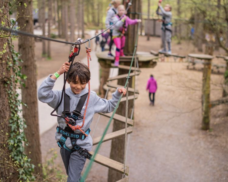 kids on the treetop adventure course at go ape