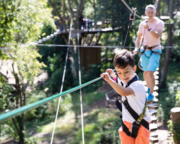 boy and his dad on the treetop adventure course at go ape