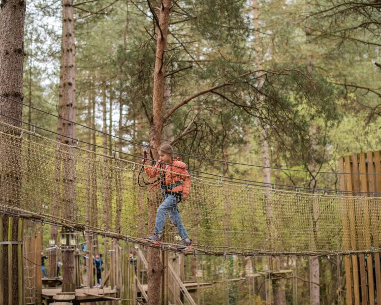 girl walking along rope bridge on the treetop adventure course at go ape