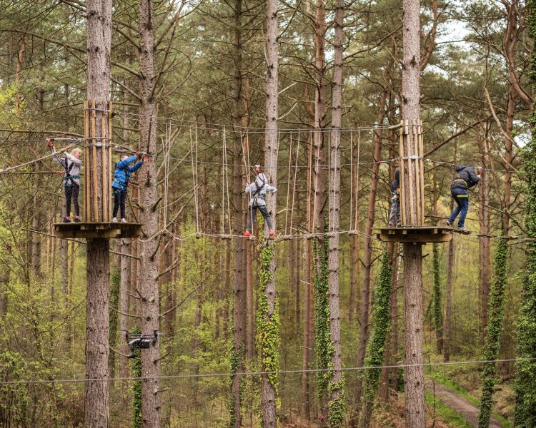 view of kids on the treetop adventure course at go ape