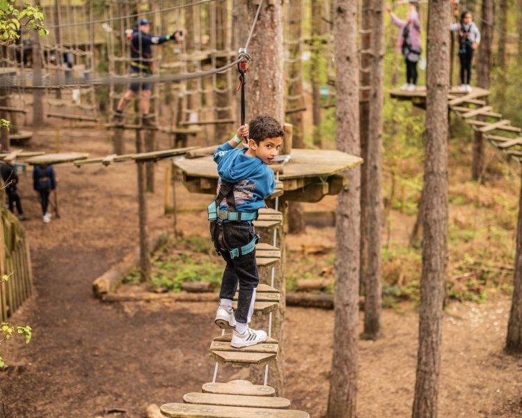 young boy on the treetop adventure course at go ape
