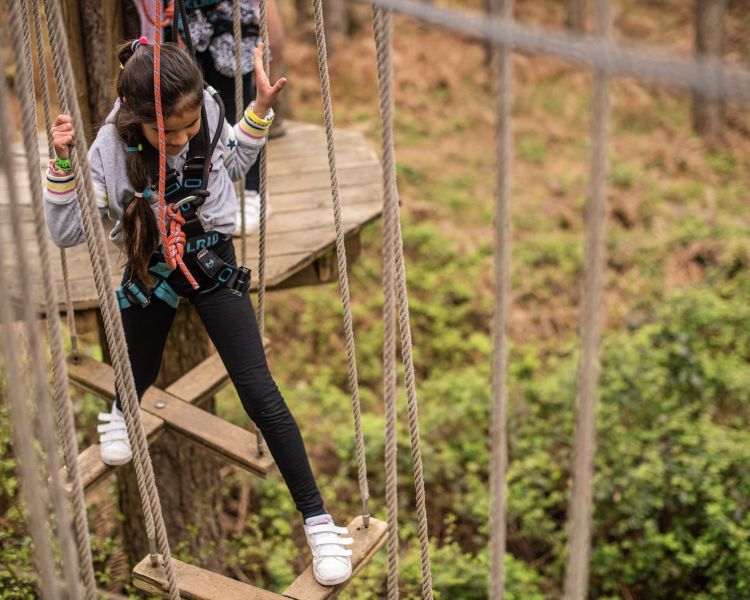 child on the treetop adventure course at go ape