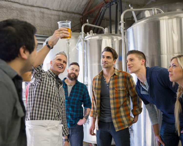 Beer tasting and tour