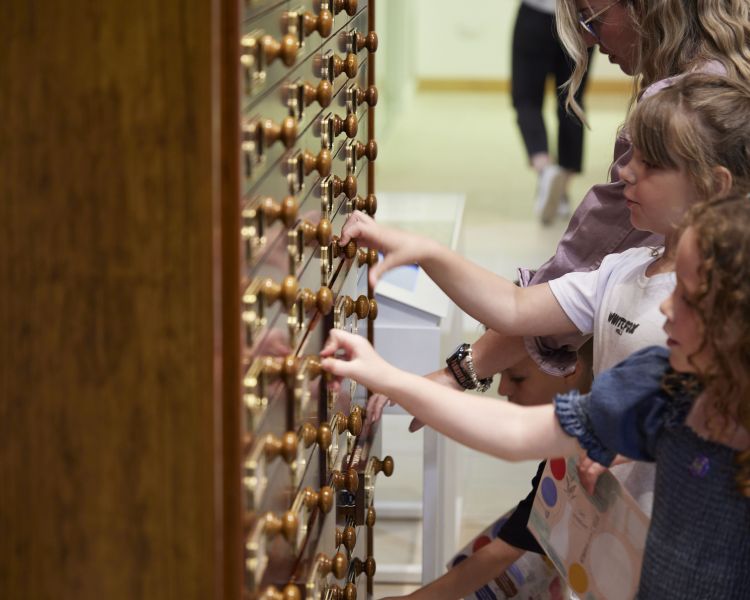 children looking at exhibits at wedgwood museum