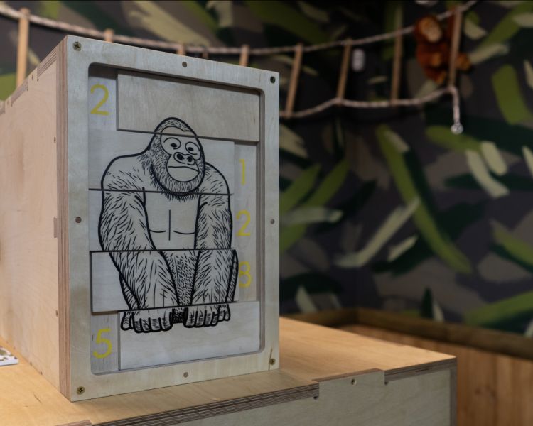 Go ape escape room london puzzle box