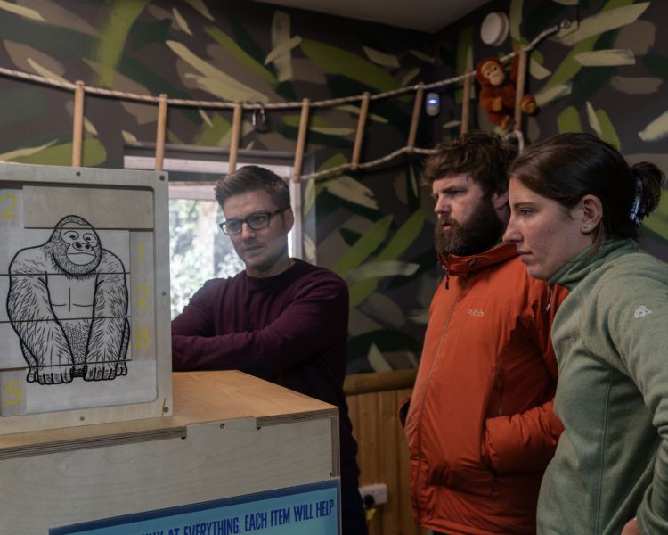 Go ape escape room london guests concentrating