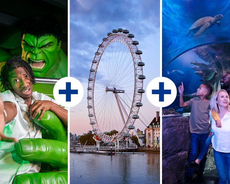 three way merlin pass for madame tussauds, london eye and sea life london