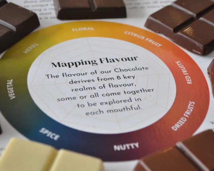 Chocolate flavour wheel