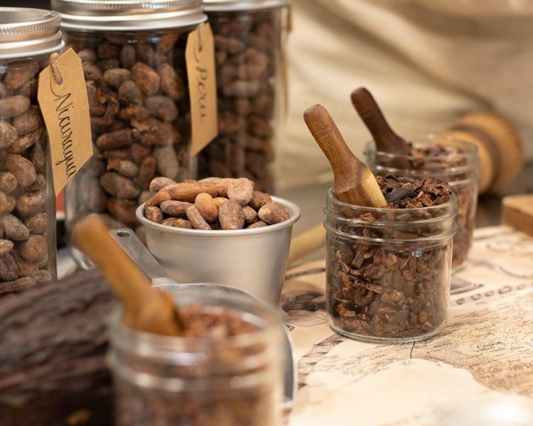 examples of cocoa beans from around the world