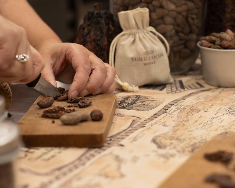 person cutting open cocoa beans