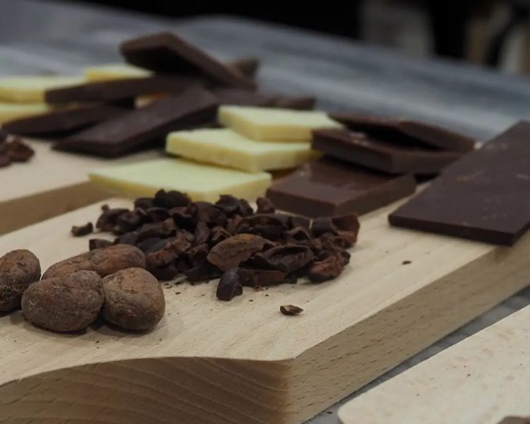 Chocolate samples for chocolate bar workshop