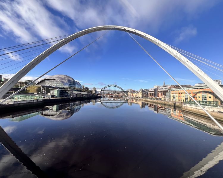 Bridges in newcastle seen on vera tour