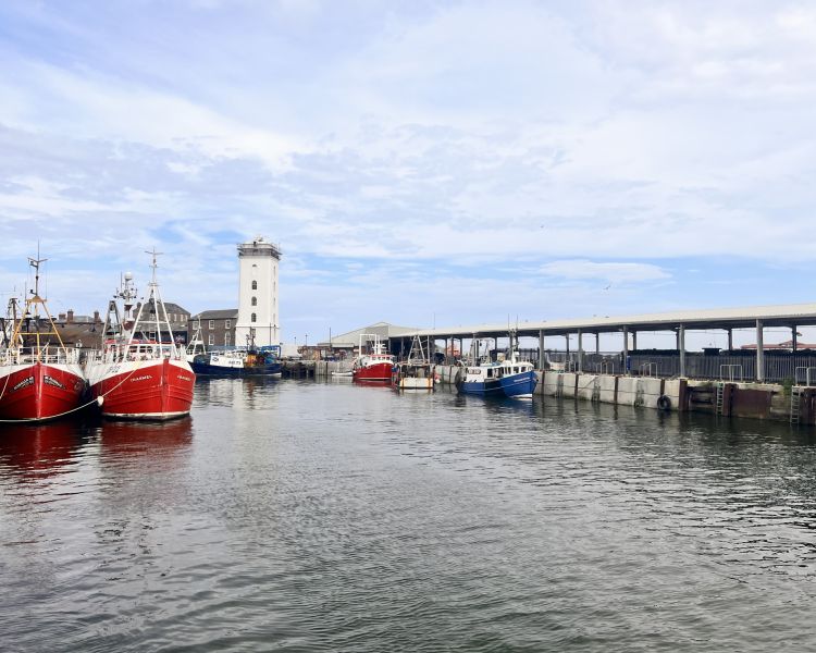 Harbour view seen on vera tour