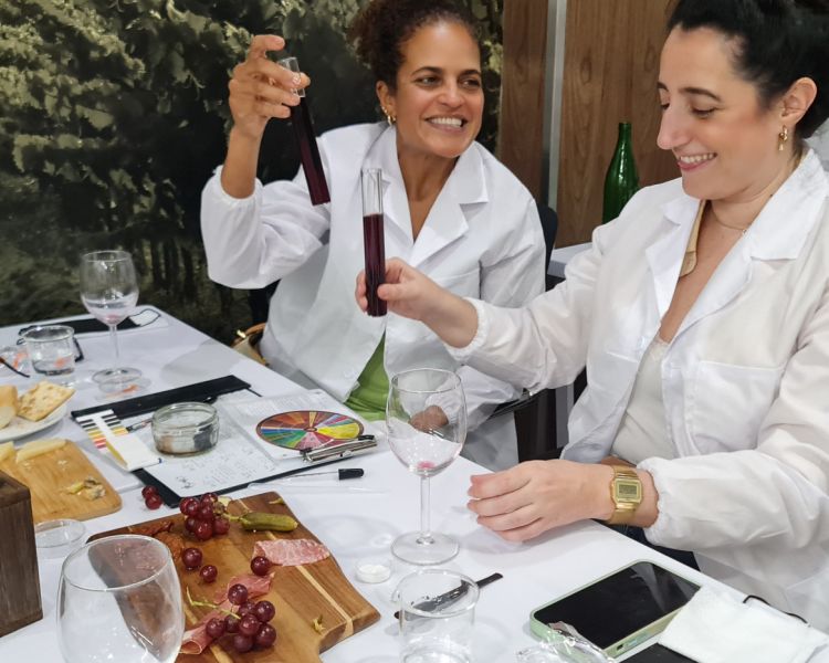 Wine tasting experience