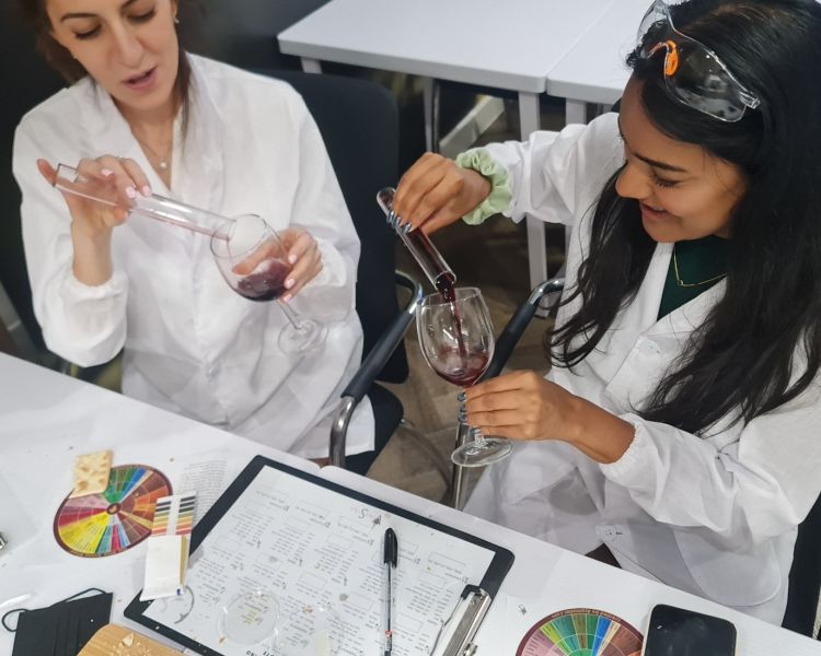 Wine lab tasting experience