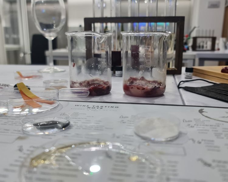 Wine tasting laboratory