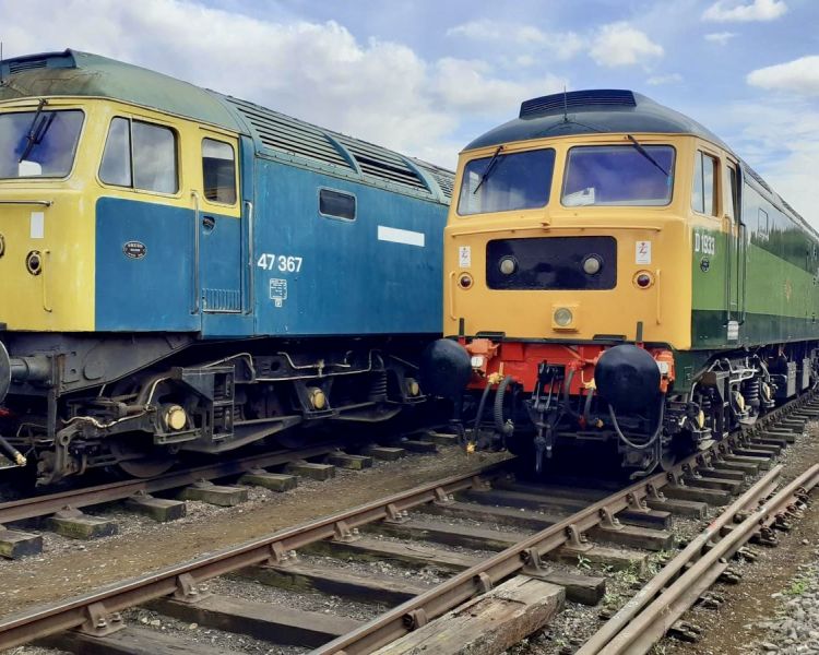 two diesel trains side by side at station for a train driving experience